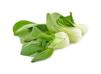 fresh baby bok choy or chinese cabbage on white background