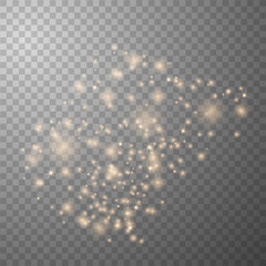 Gold sparks glitter special light 