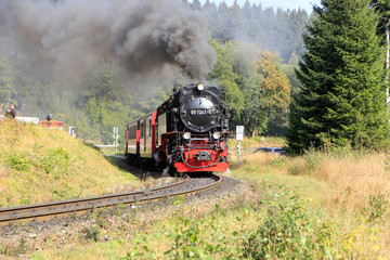 Obraz premium Kolej Brocken, kolej wąskotorowa Harz, Harz, Niemcy, Europa
