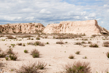 Fototapeta premium desert landscape with bushes in an arid earth in Spain