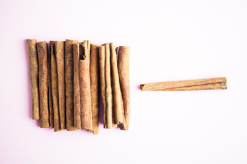 Set of cinnamon sticks on pink background
