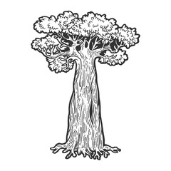 Baobab monkey bread tree sketch engraving vector illustration. Scratch board style imitation. Hand drawn image.