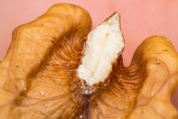 macro photo of walnuts details