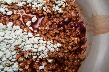 diarrhea with blood from a cat with panleukopenia on cat sand