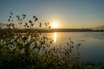 The sun is rising with a grass in the foreground.
