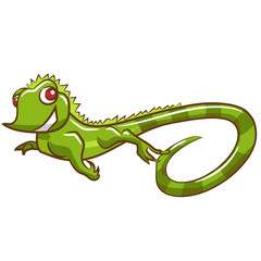 Fototapeta premium iguana graphic clipart design