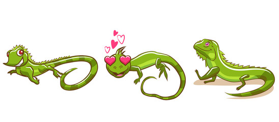 Obraz premium iguana vector set graphic design
