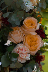  composition of different colors on a blurred green background