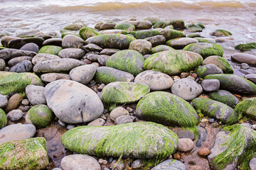Big smooth stones on the seashore