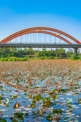 Lotus lake and Rainbow bridge