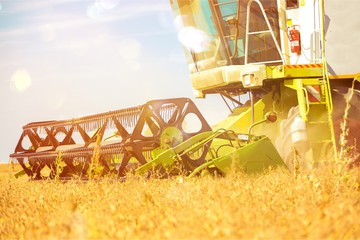 Combine machine with cab harvesting oats on farm field