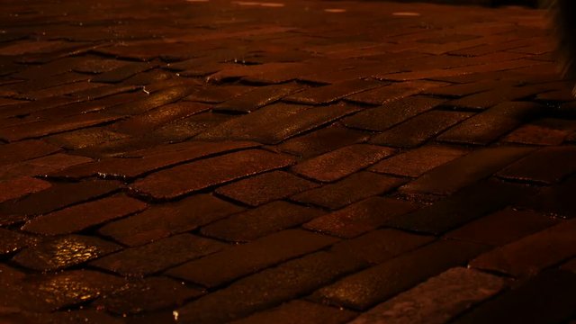 Cars driving on rainy cobblestones street, close up.
