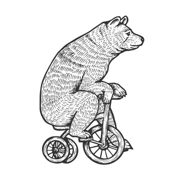 Circus bear on bicycle sketch engraving vector illustration. Scratch board style imitation. Hand drawn image.