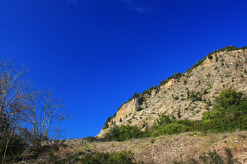 Stone slope overgrown with bushes