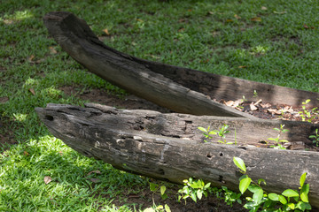 ancient canoes on the grass close up