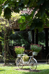Fototapeta na wymiar ornamental bicycle flowerpot in lush tropical garden