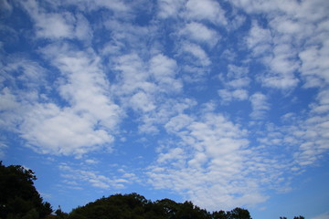 Obraz premium 夏空