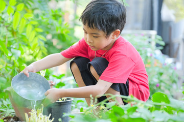 Children are taking care and pouring water on plants.