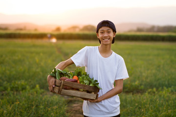 Happy asia farmer hold full basket of green vegetable product while standing in the middle organic...