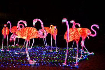 light flamingo glade