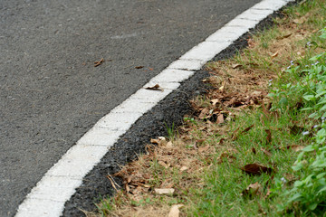 Obraz premium Curve along the asphalt road lined with green grass.