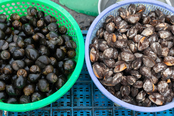 Snails and mussels, Street Food stall Ho Chi Minh City, Vietnam