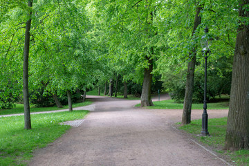 Fototapeta na wymiar Gehweg im Park