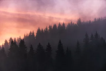 Papier Peint photo Forêt dans le brouillard Colorful sunrise in forest mountain slope with mist