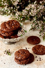 Obraz na płótnie Canvas Homemade chocolate cookies 