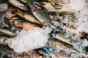 Seafood crab