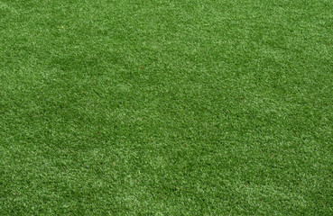 texture of a green grass field