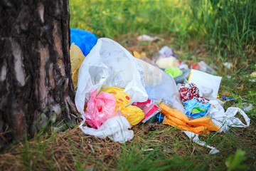 Environmental pollution. Garbage in a forest. People illegally throw out the garbage in the forest. Concept of man and nature. Illegal garbage dump in nature.