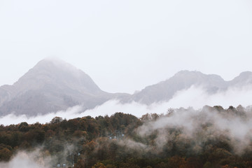 Beautiful picturesque view of a hilly mountain covered with white fog and forest. Concept of vacation in a picturesque resort in the city of clean mountain air. Copyspace