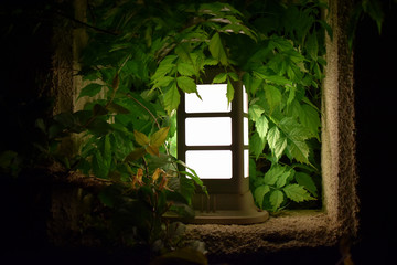 Lantern in the window of an old hut.Mysterious light in a dark forest.