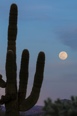 Full moon rising in the desert. 