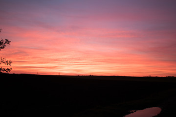 Beautiful sunrise over green field in a summer morning