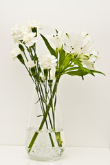 White flowers in glass vase on a shelf