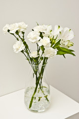 Naklejka na ściany i meble White flowers in glass vase on a shelf
