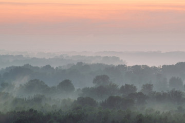 Mystical view from top on forest under haze at early morning. Eerie mist among layers from tree silhouettes in taiga under predawn sky. Morning atmospheric minimalistic landscape of majestic nature.