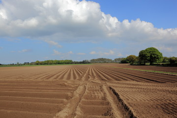 Patterns and textures of arable farmland in springtime