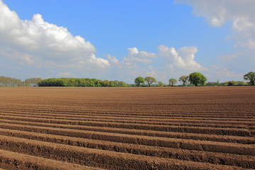 Patterns and textures of ridge and furrow plough soil in springtime