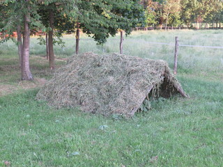 Heureiter mit getrocknetem Heu