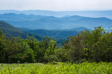 Naklejka premium Beautiful mountain range in a US national park