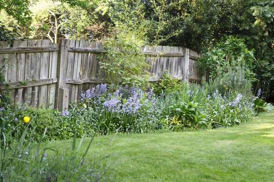 Wooden garden boundary fence