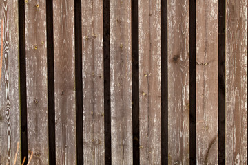 Textured wooden background is very much aged turquoise.