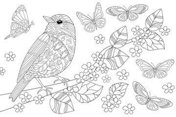 pretty bird in on branch of tree for your coloring book