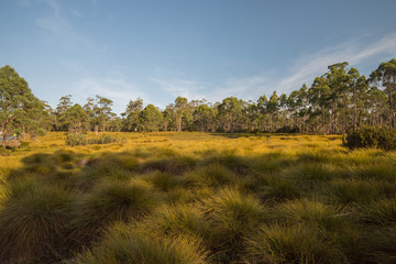 Obraz premium Beautiful scenery at Cradle Mountain