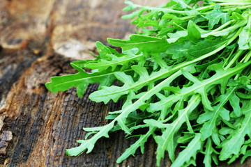 Fresh green arugula leaves on wooden rustic background . Rocket salad or rucola, healthy food, diet. Nutrition concept