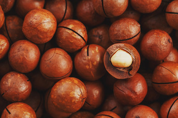 Organic macadamia nut fresh natural fruit shelled one nut in full frame close-up view. Low contrast