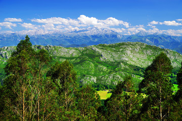 Mountain landscape in the Picos de Europa national park, Spain, Asturias